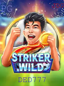 Descubra o Emocionante Mundo de StrikerWILD